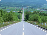 NLP�P�c�����Z�~�i�[