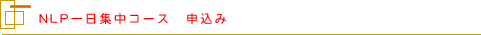 NLP����W���R�[�X�\����